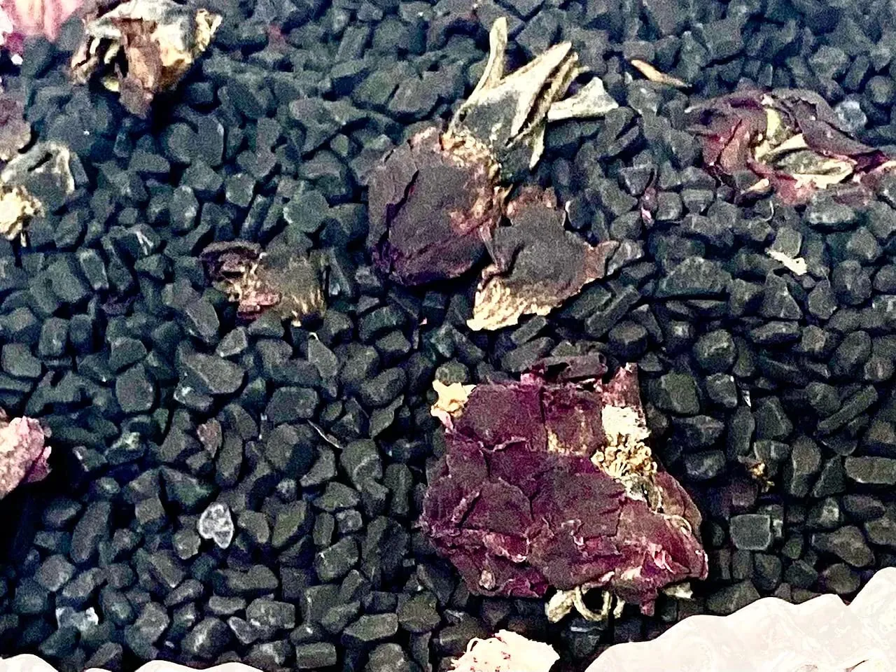 Black Lava & Roses Bath Salt - Hiwa Kai Hawaiian Sea Salt w/Activated Charcoal, Sweet Orange Essential Oil, Rose Petals