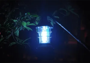 Camping Light – Model 2860 Black