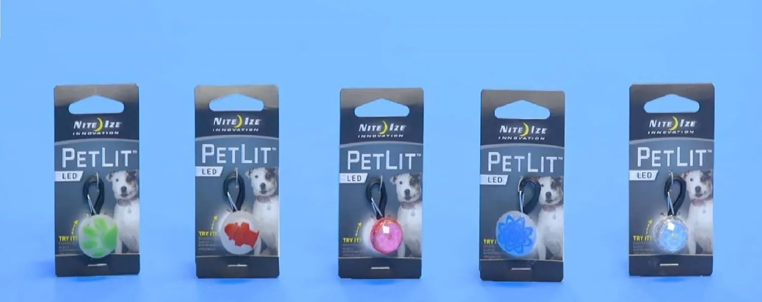 Dogtra 200C with Free PetLit (Pink)