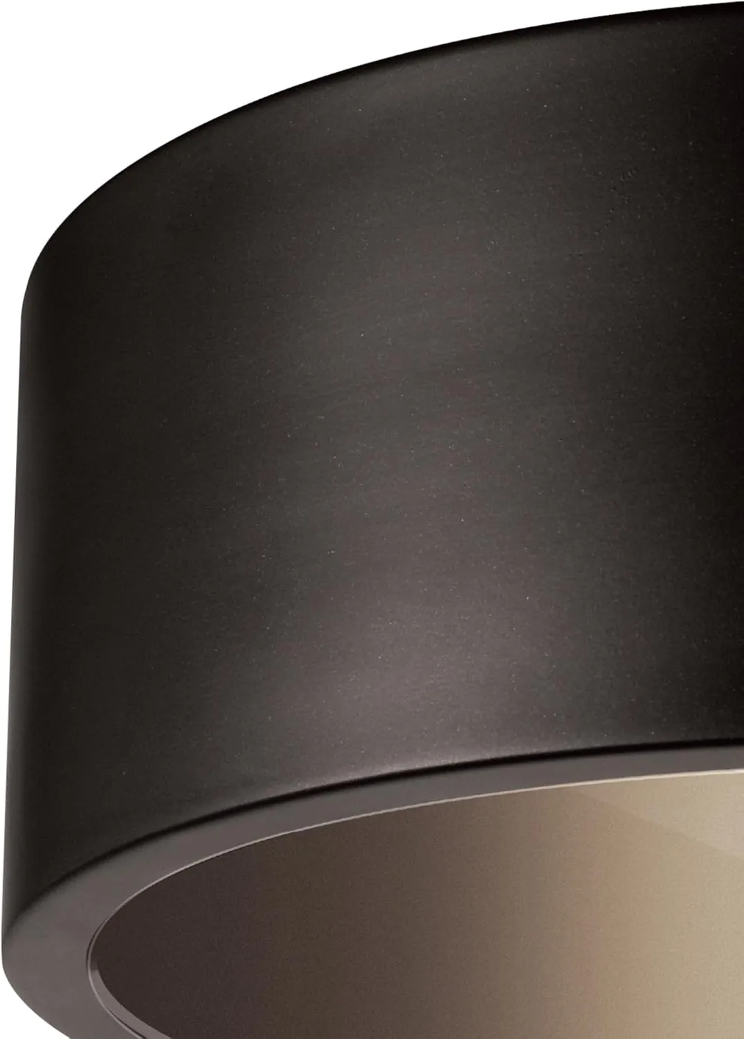 GLOBE Electric 44479 Teagan 1-Light Outdoor Indoor Flush Mount Ceiling Light, Dark Bronze, Clear Glass Shade, Bulb Not Included