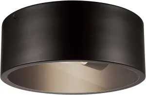 GLOBE Electric 44479 Teagan 1-Light Outdoor Indoor Flush Mount Ceiling Light, Dark Bronze, Clear Glass Shade, Bulb Not Included