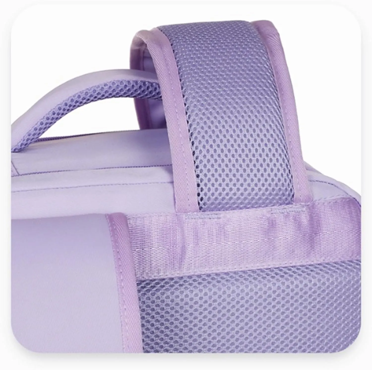 Levettevac Mochila, Levettebag, Levettevac Backpack, Expandable Large Capacity, Large Capacity Waterproof, Travel Bag (purple)