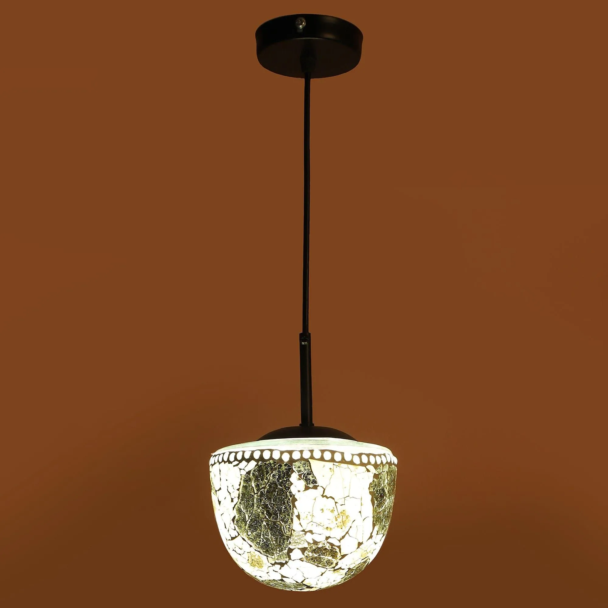 Multicolour  Metal Single Hanging Light