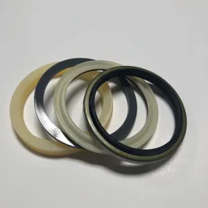 PW01V00048R300 ARM Cylinder Seal KIT FITS KOBELCO SK30SR-2 CASE CX36