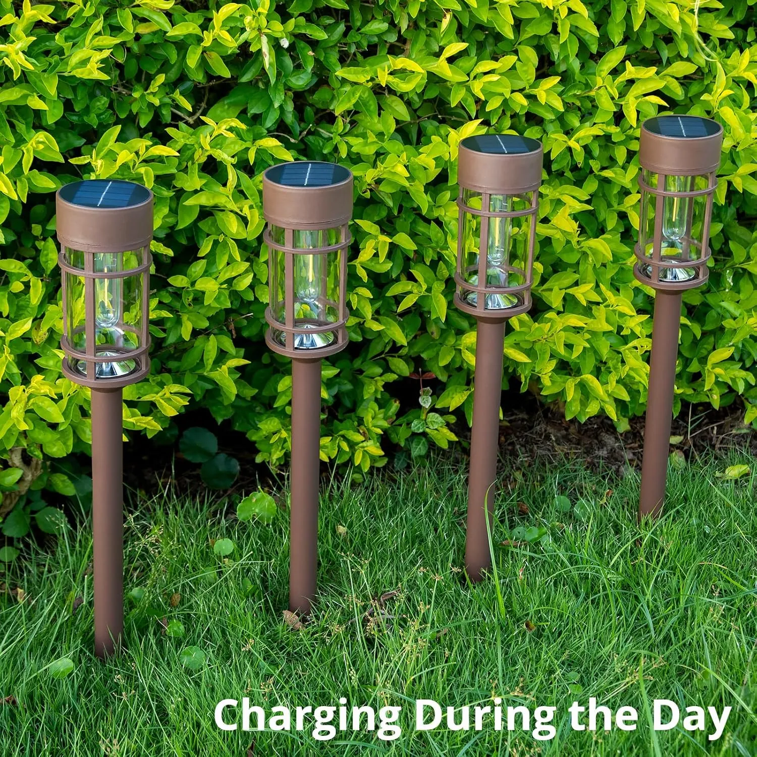 Solar Pathway Lights 8 Pack, Solar Lights Outdoor Waterproof IP65, Long-Lasting, Bright LED Outdoor Lighting Decor for Garden Yard Landscape Path