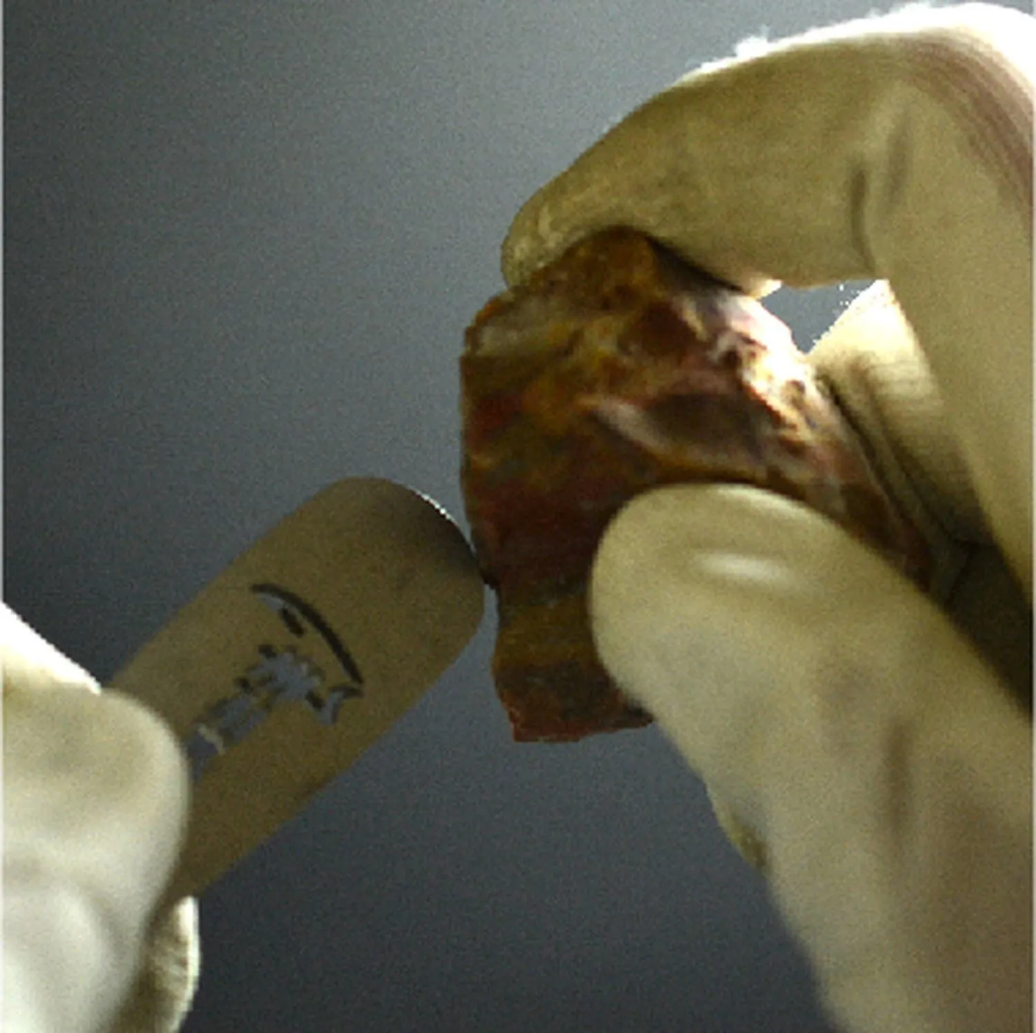 Strike-a-light- (1, Bear Claw)